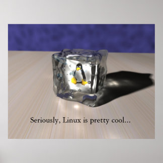 Póster Linux es Guay