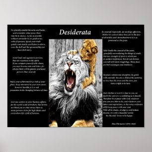 Póster Lion Cub