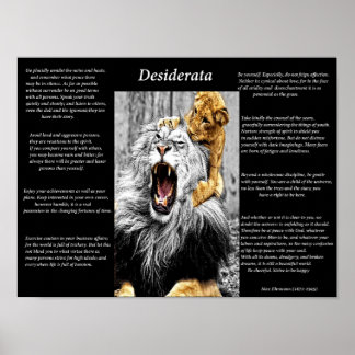 Póster Lion Cub