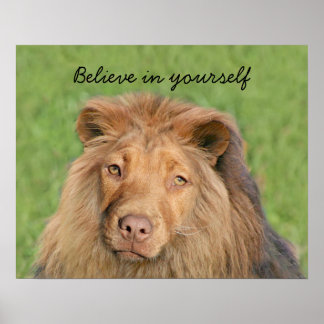Póster Lion dog