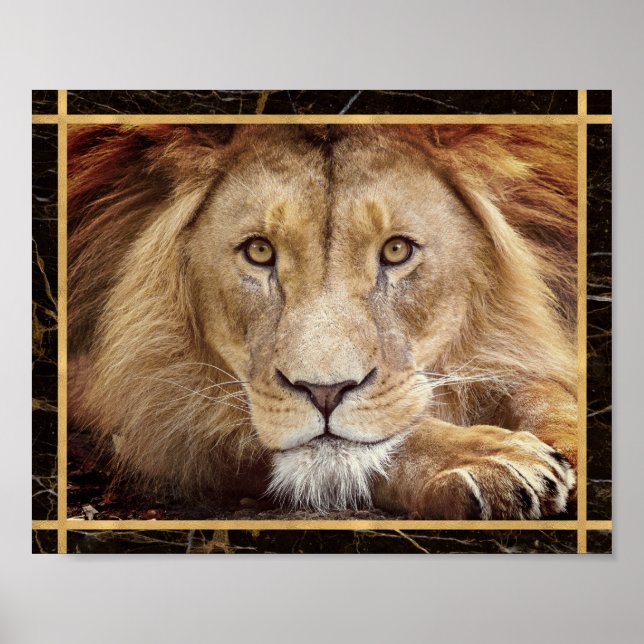Póster Lion Face Closeup Fotografía Imagen Poster de impr (Frente)