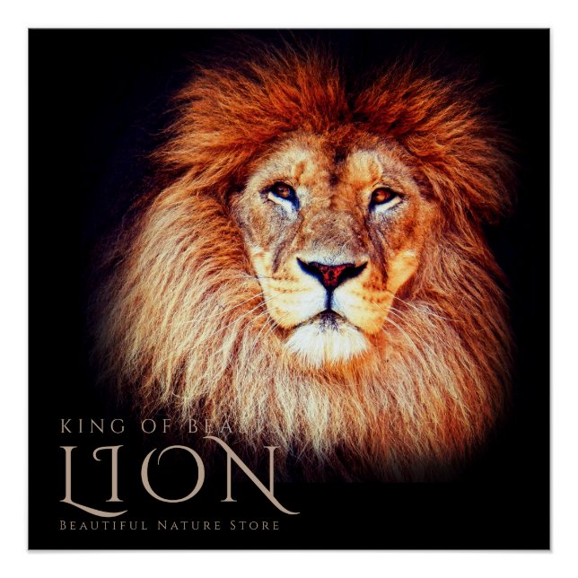 Póster Lion [Perfect Poster] (Anverso)