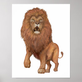 Póster Lion Small