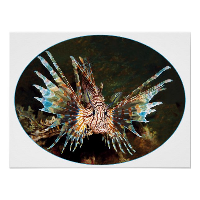 Póster Lionfish Rojo, Raja Ampat - Diseño fotográfico | (Anverso)