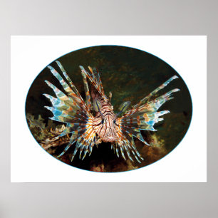 Póster Lionfish Rojo, Raja Ampat - Diseño fotográfico