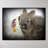 Lionhead Bunny and Teacup