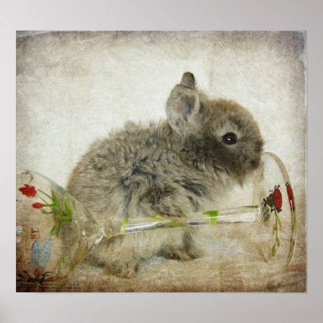 Póster Lionhead Bunny and Wine Glass (Frente)
