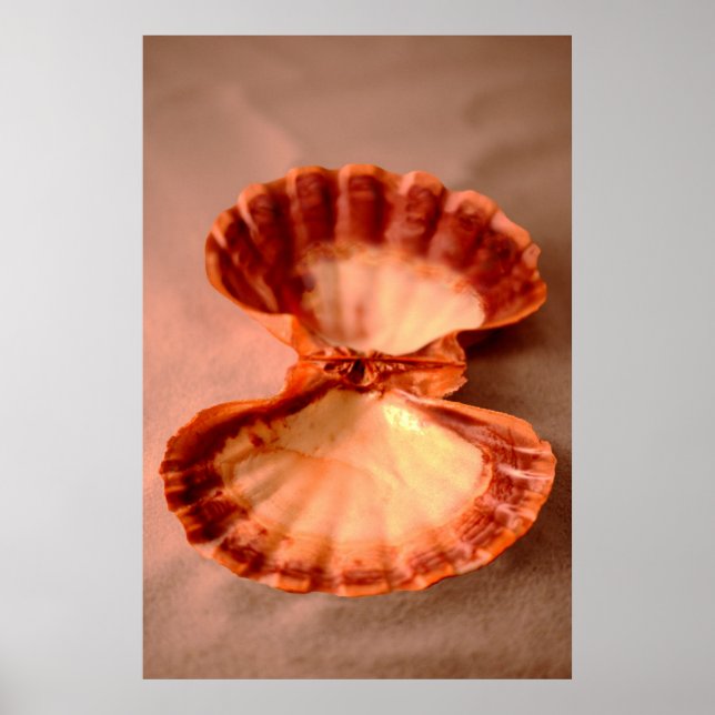 Póster Lions Paw (Frente)