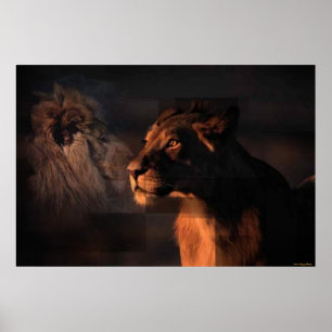 Póster Lions Print