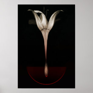 Póster Lirio 2013 de la sangría