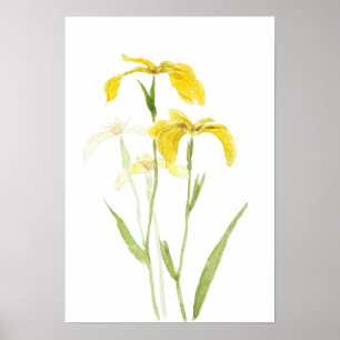 Póster lirio amarillo flores acuarela 