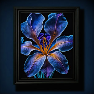 Póster Lirio azul