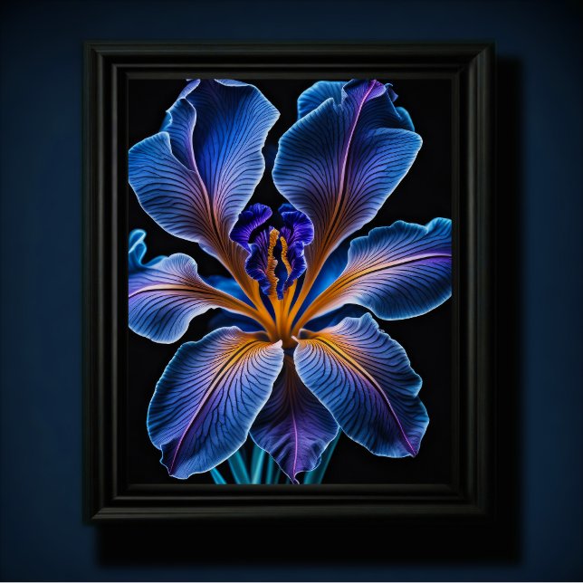 Póster Lirio azul (Subido por el creador)