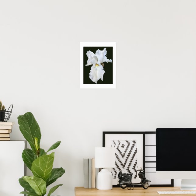 Póster Lirio barbudo blanco sobre fondo negro (Oficina en casa)