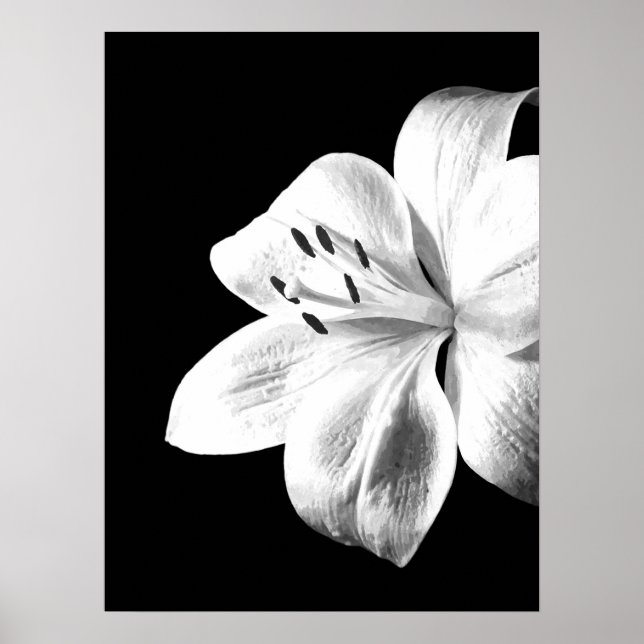 Póster Lirio blanco y negro (Frente)