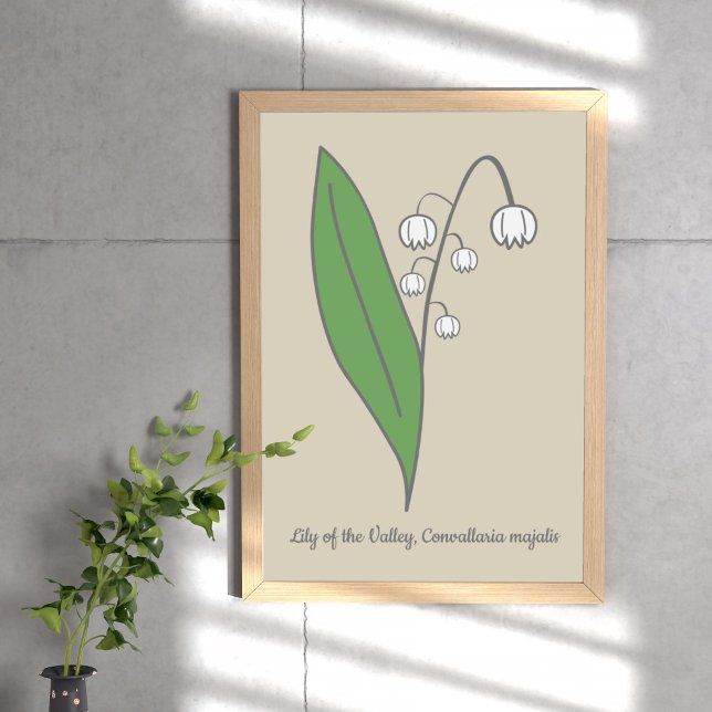 Póster Lirio botánico de la flor del Pastel del Valle (Botanical Lily of the Valley Poster)