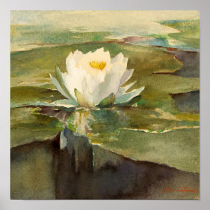 Póster Lirio de agua con luz solar   John La Farge