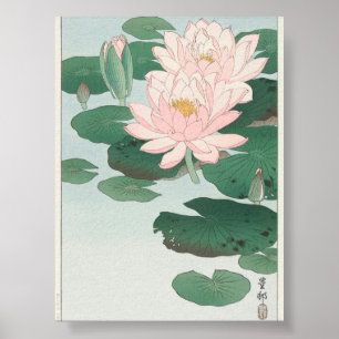 Póster Lirio de agua de Ohara Koson (1920-1930)