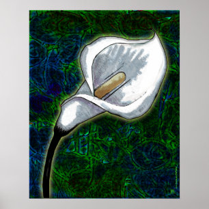 Póster Lirio de Calla Blanca (Poster Semi-Gloss)
