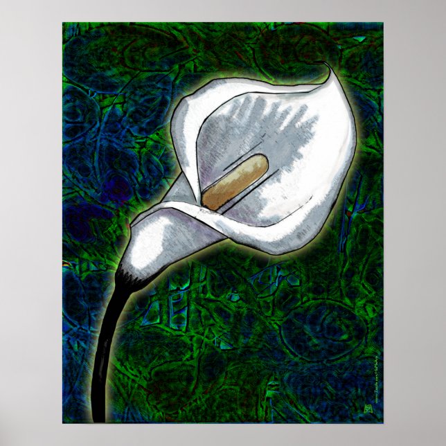 Póster Lirio de Calla Blanca (Poster Semi-Gloss) (Frente)