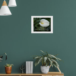 Póster Lirio de Calla Blanco Cita Filosófica de Aristótel
