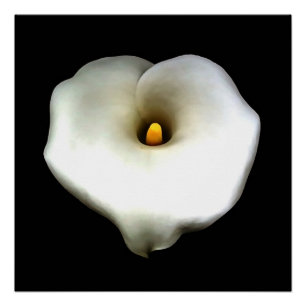 Póster Lirio de Calla en forma de corazón único artístico