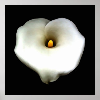 Póster Lirio de Calla en forma de corazón único artístico