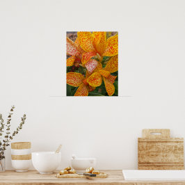 Póster Lirio de Canna Amarillo con Flores con Motas Rojas