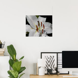 Póster Lirio Oriental Blanco Floral Fotográfico