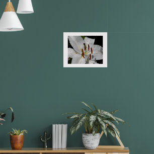 Póster Lirio Oriental Blanco Floral Fotográfico
