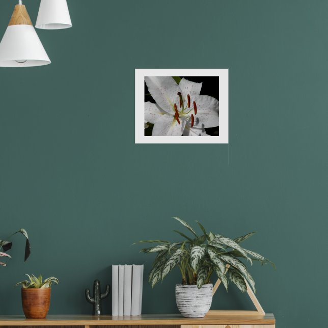 Póster Lirio Oriental Blanco Floral Fotográfico (Salón 1)