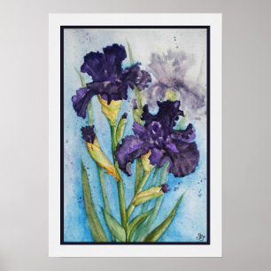 Póster Lirio Púrpura de Primavera