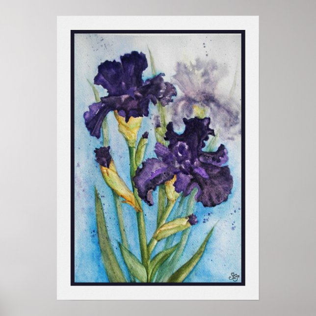 Póster Lirio Púrpura de Primavera (Frente)
