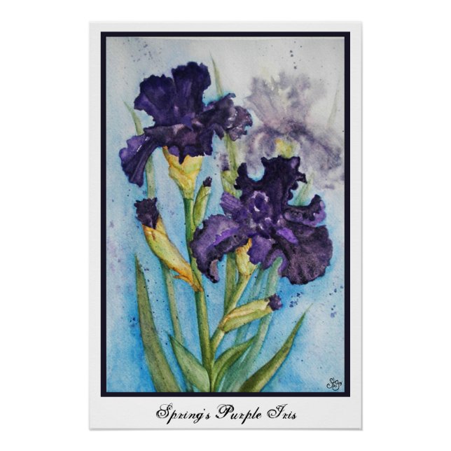 Póster Lirio Púrpura de Primavera (Anverso)