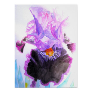 Póster Lirio púrpura Flor acuarela Floral Cumpleaños