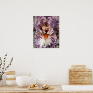Póster Lirio púrpura y blanco con Floral de barba naranja
