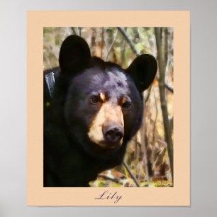 Póster Lirio, un oso negro americano