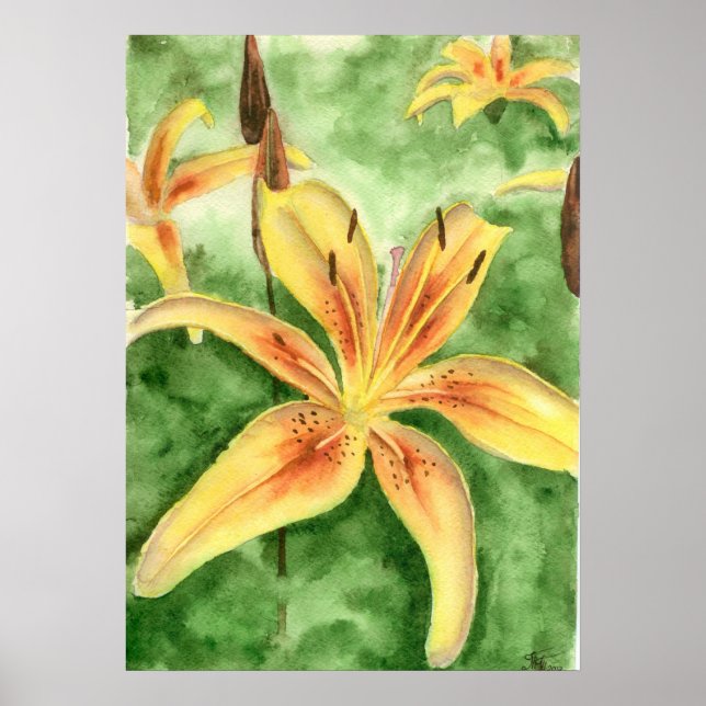 Póster Lirios amarillos en el poster del jardín (Frente)