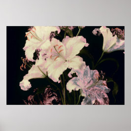 Póster Lirios Blancos Elegantes sobre Fondo Negro Floral