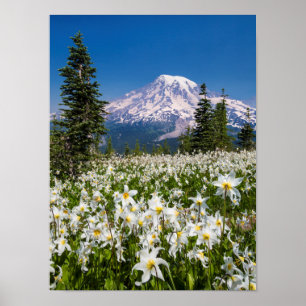 Póster Lirios de avalancha y Monte Rainier 2
