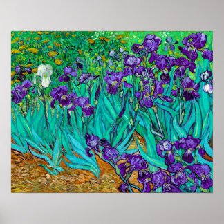 Póster Lirios, Vincent van Gogh