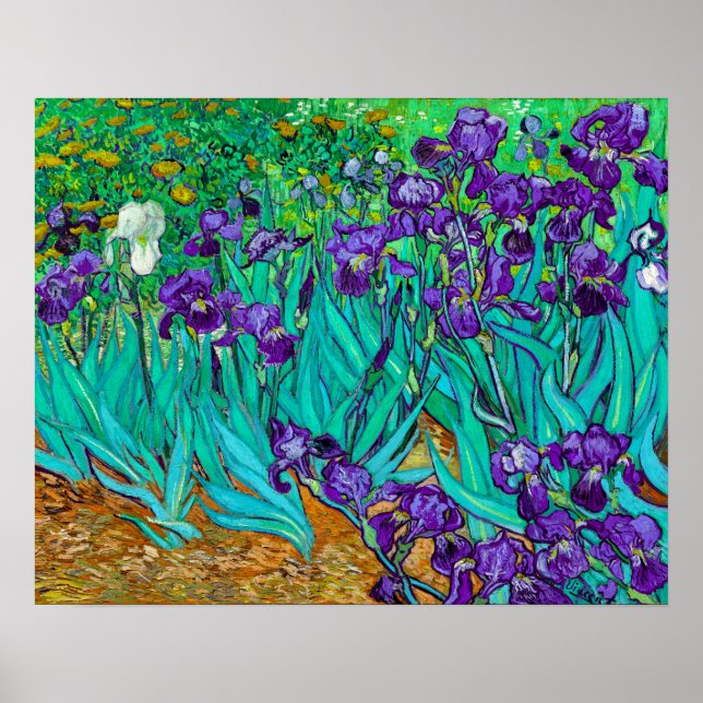 Póster Lirios, Vincent van Gogh (Frente)