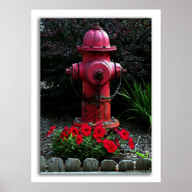 Póster Listo, dispuesto y capaz (Frente)