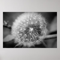 ¡¡¡Listo para despegar!!!