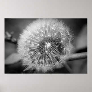 Póster ¡¡¡Listo para despegar!!!