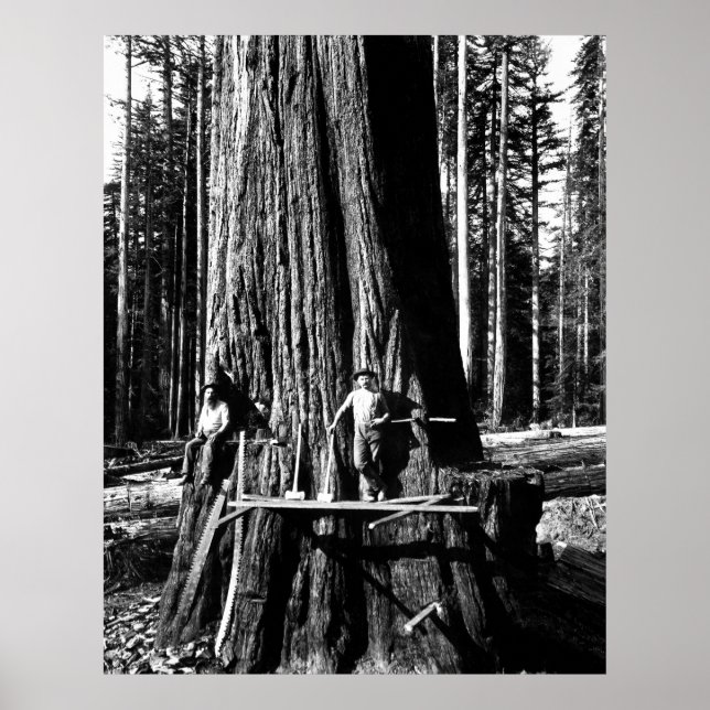 Póster LISTO PARA ROMPER UNA SEQUIA GIGANTE c. 1888 (Frente)