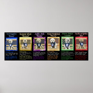 Póster Litera del tiempo y poster conocido de las