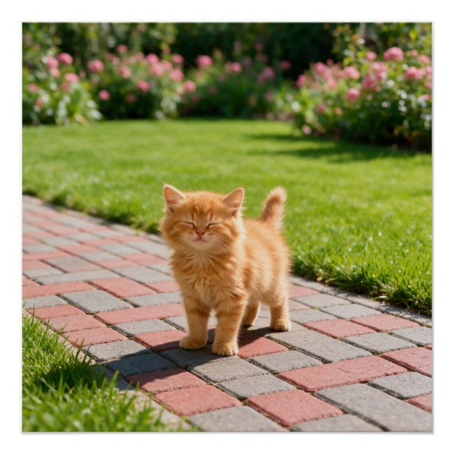 Póster Little cute  orange cat  (Anverso)