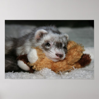 Póster Little Dooks Penny Poster