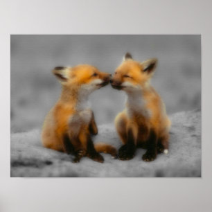 Póster Little Fox Love